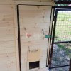 IMG_20260724_135134_838