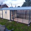 курятник Доркинг