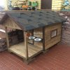 IMG-20250826-WA0031