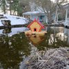 Домик для уток на воде Пекинка