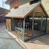 IMG-20250818-WA0012