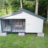 IMG-20250810-WA0004
