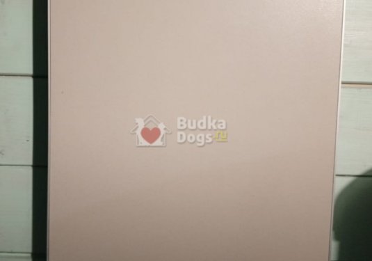 IMG_20251024_121344