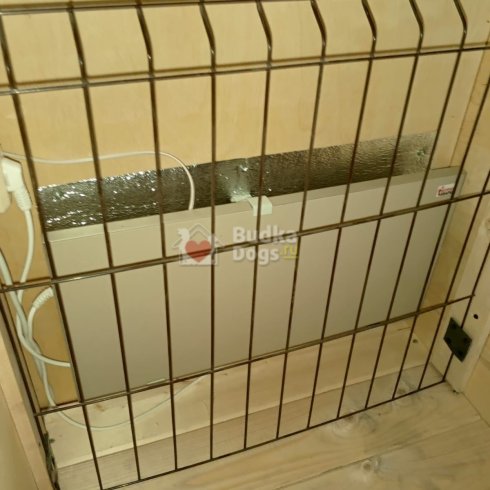 IMG-20251008-WA0022