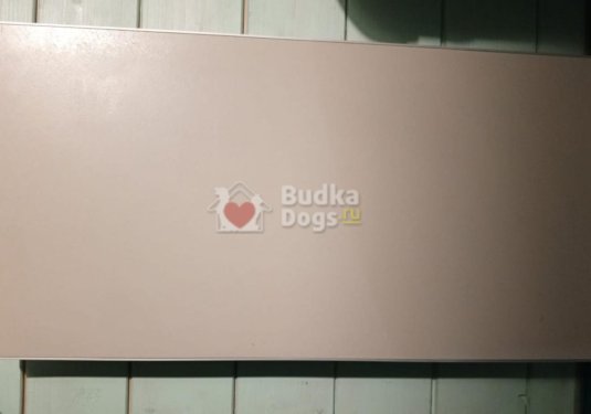 IMG-20251024-WA0020